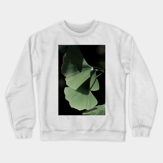 Ginko 03 Crewneck Sweatshirt by froileinjuno